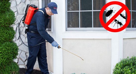 Selçuklu Hamam Böceği İlaçlama böcek ilaçlama ve haşere kontrolü — ilaclama-tr.com